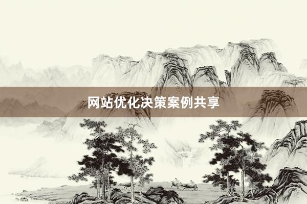 网站优化决策案例共享